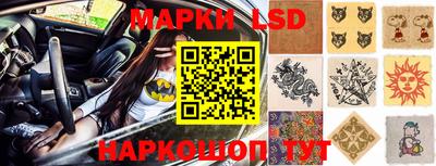 гашик Обнинск
