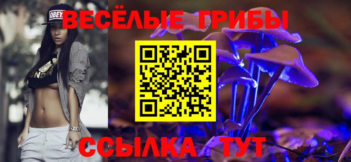 как найти закладки  Галлюциногенные грибы Psilocybine cubensis  Вход с VPN  Галлюциногенные грибы ЛСД  Сибай 